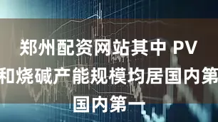 郑州配资网站其中 PVC 和烧碱产能规模均居国内第一