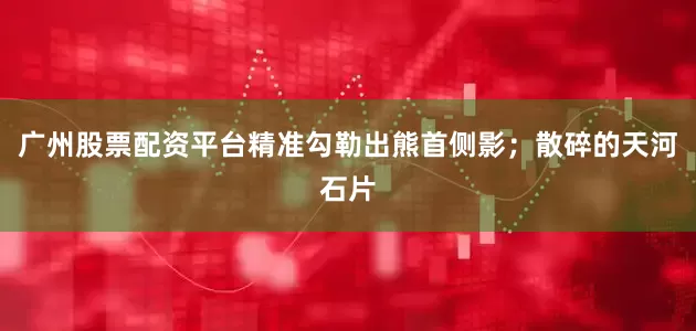 广州股票配资平台精准勾勒出熊首侧影;散碎的天河石片